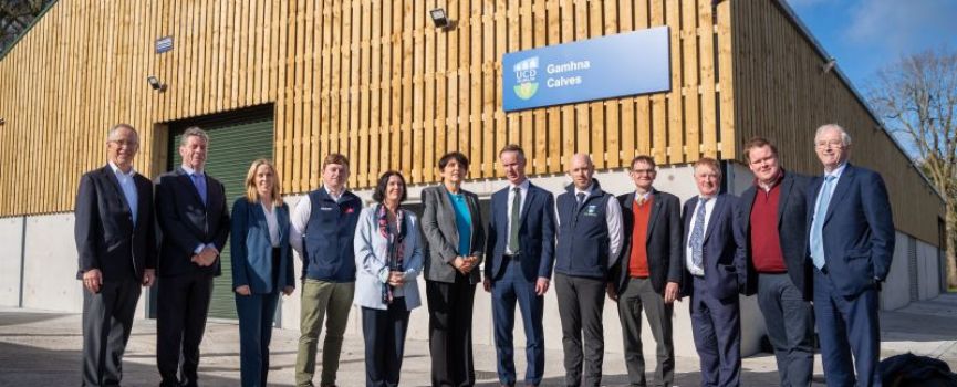 UCD Launch Day – Spring 2025